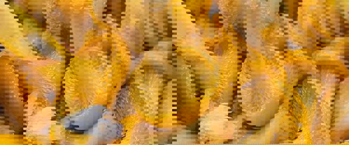 Сезон лисичек в "СырИнжир"